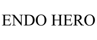 ENDO HERO