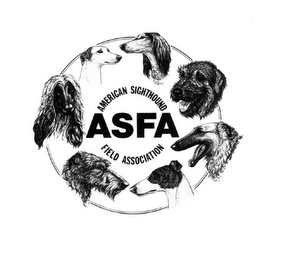 ASFA AMERICAN SIGHTHOUND FIELD ASSOCIATION