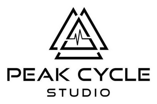 PEAK CYCLE STUDIO