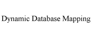 DYNAMIC DATABASE MAPPING