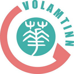 VOLAMTINN