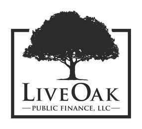 -LIVE OAK PUBLIC FINANCE, LLC-