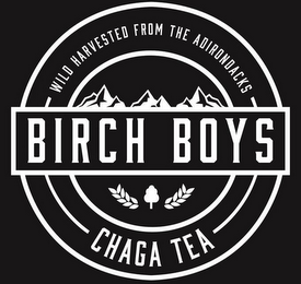 BIRCH BOYS WILD HARVESTED FROM THE ADIRONDACKS CHAGA TEA