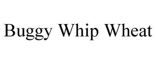 BUGGY WHIP WHEAT