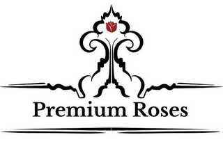 PREMIUM ROSES