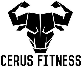 CERUS FITNESS