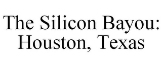 THE SILICON BAYOU: HOUSTON, TEXAS
