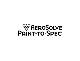 AEROSOLVE PAINT-TO-SPEC