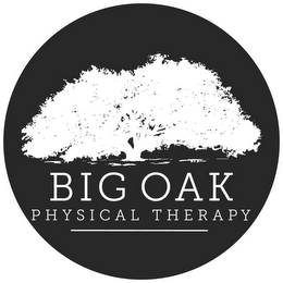 BIG OAK PHYSICAL THERAPY