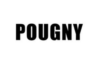 POUGNY