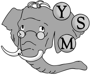 YSM