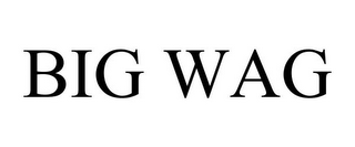 BIG WAG