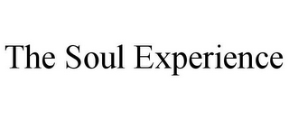 THE SOUL EXPERIENCE