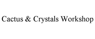 CACTUS & CRYSTALS WORKSHOP