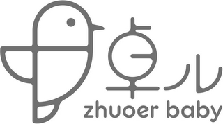 ZHUOER BABY