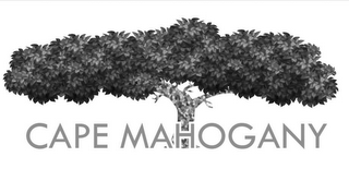 CAPE MAHOGANY