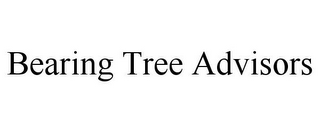 BEARING TREE ADVISORS