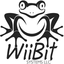 WIIBIT SYSTEMS LLC