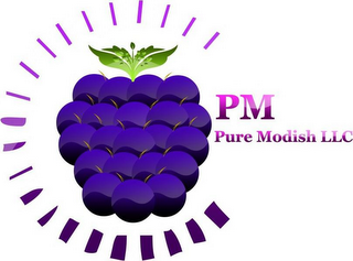 PM PURE MODISH LLC