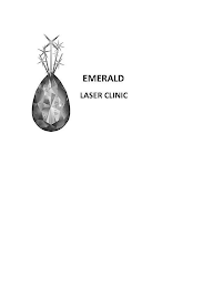 EMERALD LASER CLINIC