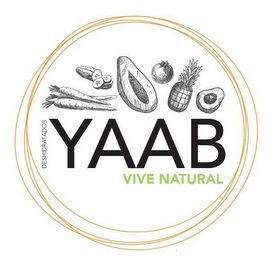 DESHIDRATADOS YAAB VIVE NATURAL