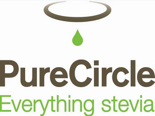 PURECIRCLE EVERYTHING STEVIA