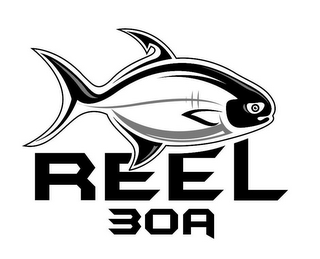 REEL 30A