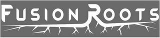 FUSION ROOTS
