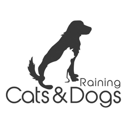 RAINING CATS & DOGS