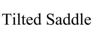 TILTED SADDLE