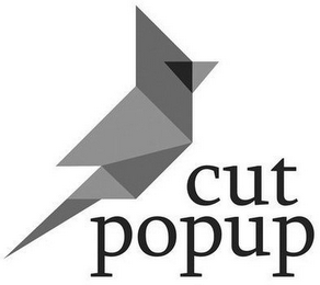 CUT POPUP