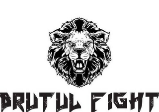 BRUTUL FIGHT