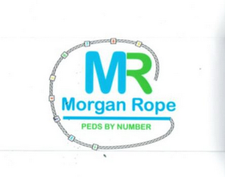 MR MORGAN ROPE PEDS BY NUMBER