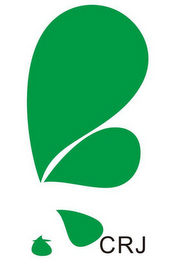 CRJ