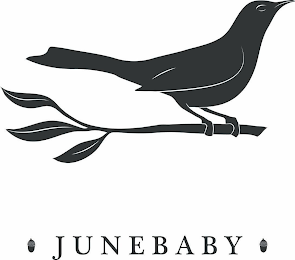 JUNEBABY