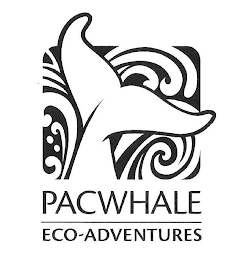 PACWHALE ECO-ADVENTURES