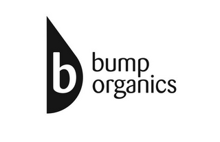 B BUMP ORGANICS