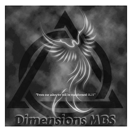 "FROM OUR ASHES WE WILL BE TRANSFORMED 11.11" DIMENSIONS MBS