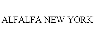 ALFALFA NEW YORK