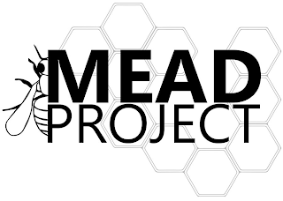 MEAD PROJECT