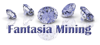 FANTASIA MINING