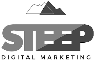 STEEP DIGITAL MARKETING