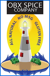 OBX SPICE COMPANY ALL NATURAL NO MSG GLUTEN FREE