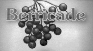 BERRICADE