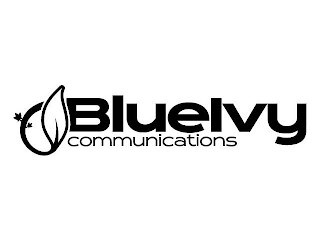 BLUEIVY COMMUNICATIONS