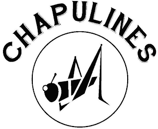 CHAPULINES