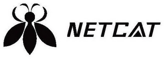 NETCAT