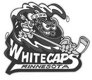 WHITECAPS MINNESOTA