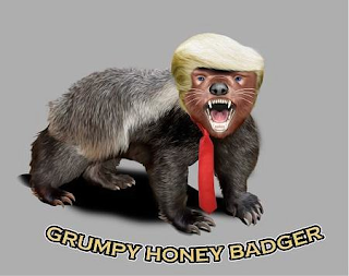 GRUMPY HONEY BADGER