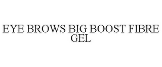 EYE BROWS BIG BOOST FIBRE GEL